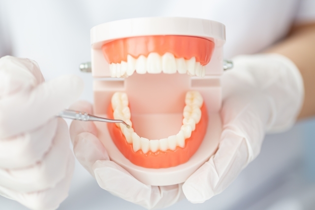 歯科検査のイメージ画像