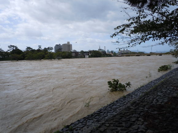 台風後の川
