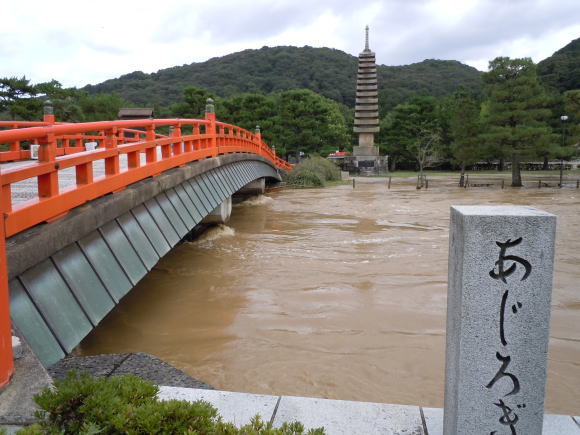 台風後の川